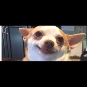 Meet your Posher, Madeline